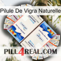 Natural Vigra Pill kamagra1